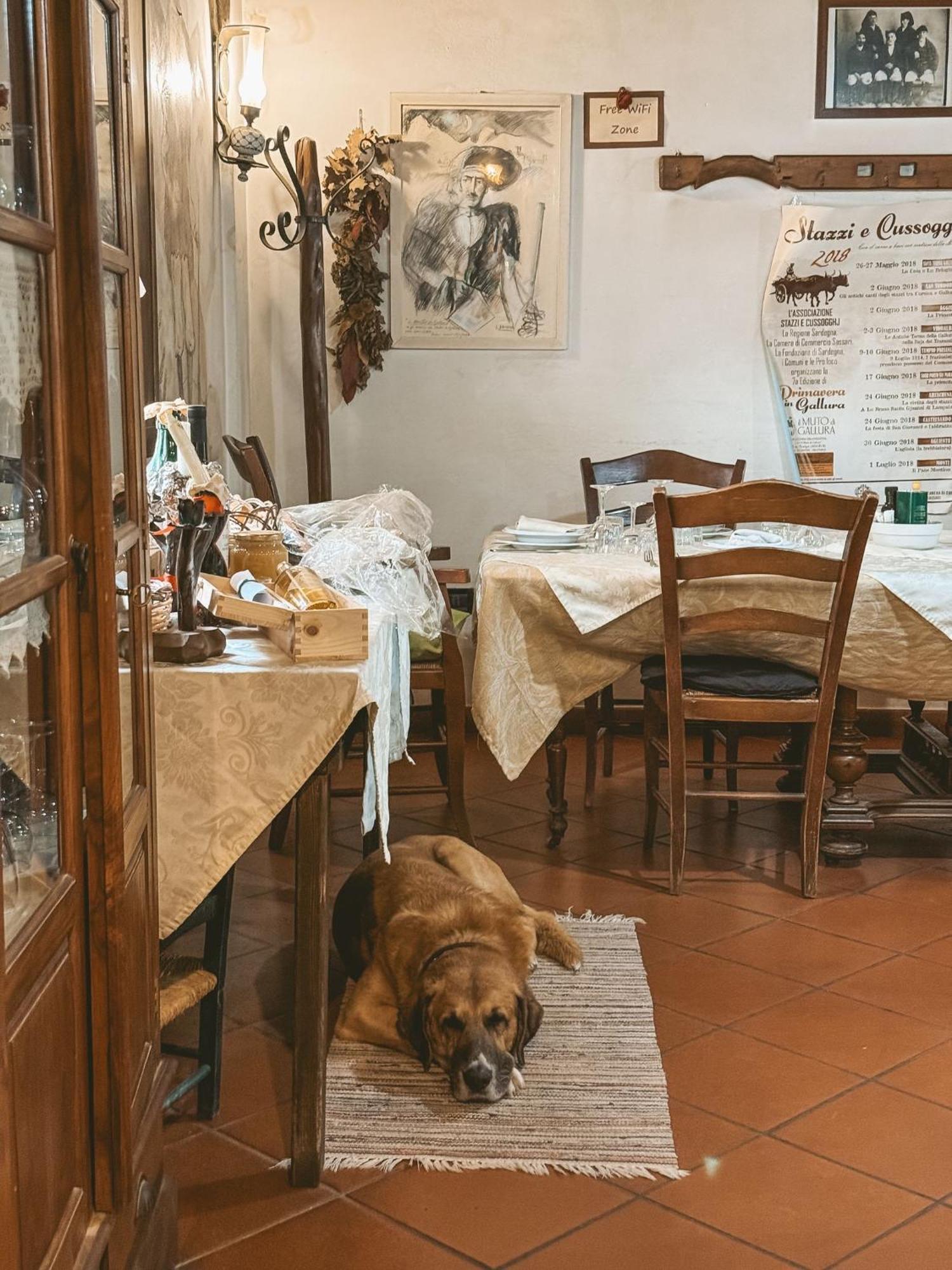 Agriturismo Il Muto Di Gallura Aggius Zewnętrze zdjęcie