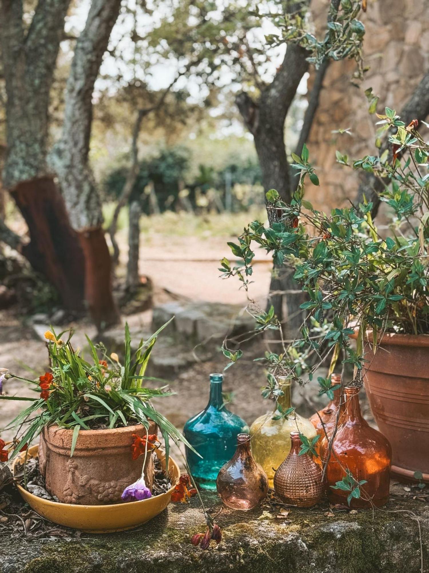 Agriturismo Il Muto Di Gallura Aggius Zewnętrze zdjęcie