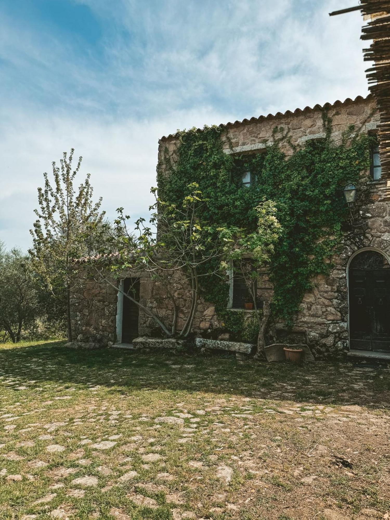 Agriturismo Il Muto Di Gallura Aggius Zewnętrze zdjęcie