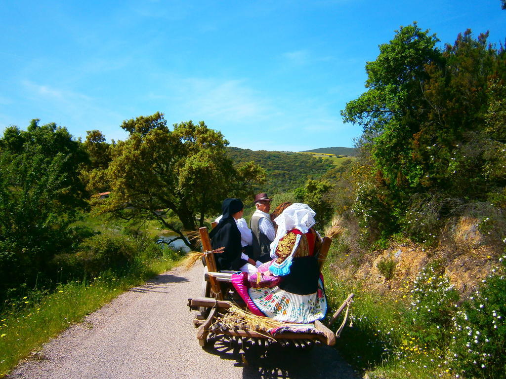 Agriturismo Il Muto Di Gallura Aggius Zewnętrze zdjęcie