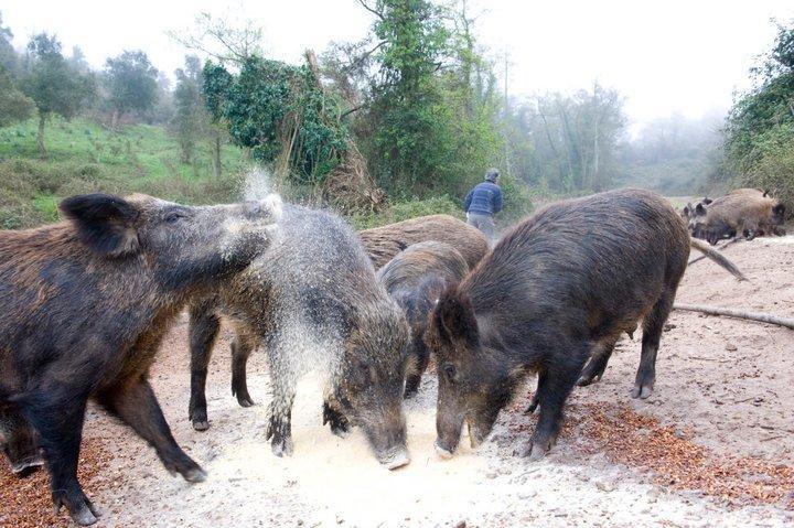 Agriturismo Il Muto Di Gallura Aggius Zewnętrze zdjęcie