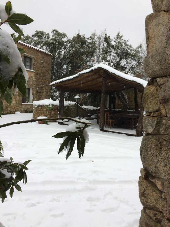 Agriturismo Il Muto Di Gallura Aggius Zewnętrze zdjęcie