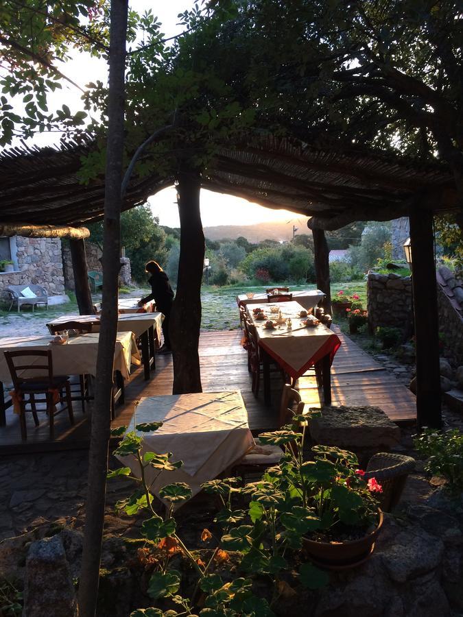 Agriturismo Il Muto Di Gallura Aggius Zewnętrze zdjęcie