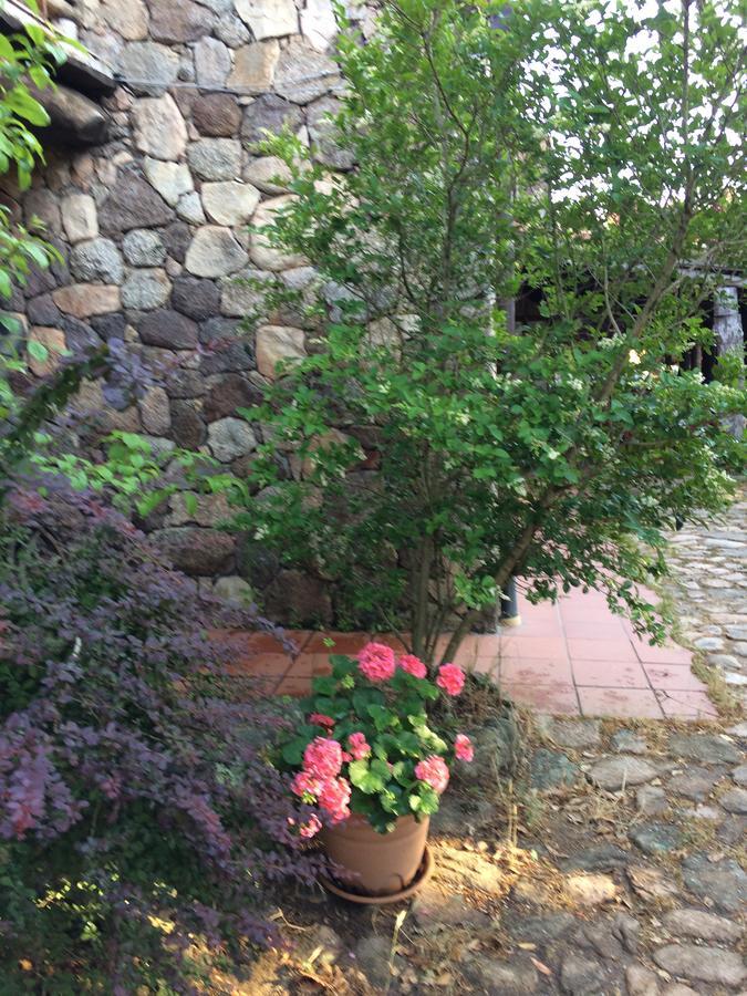 Agriturismo Il Muto Di Gallura Aggius Zewnętrze zdjęcie